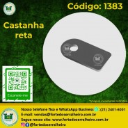 Castanha