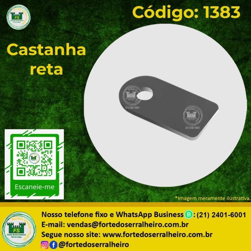 Castanha
